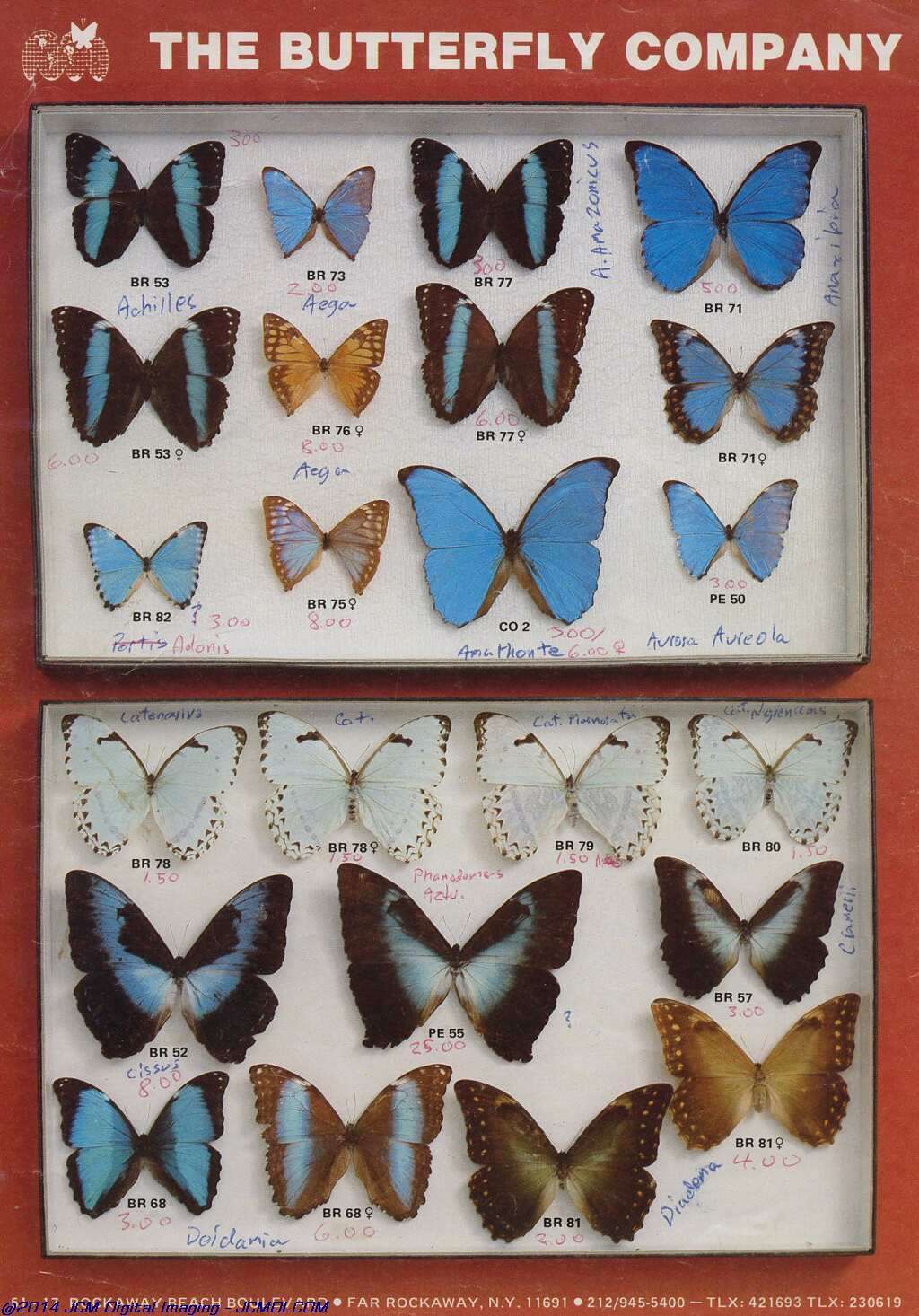 The Butterfly Company (NY) 20 page catalog 1978